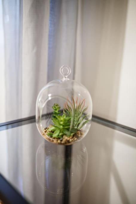 Cozy Apartement Thessaloníki Luaran gambar